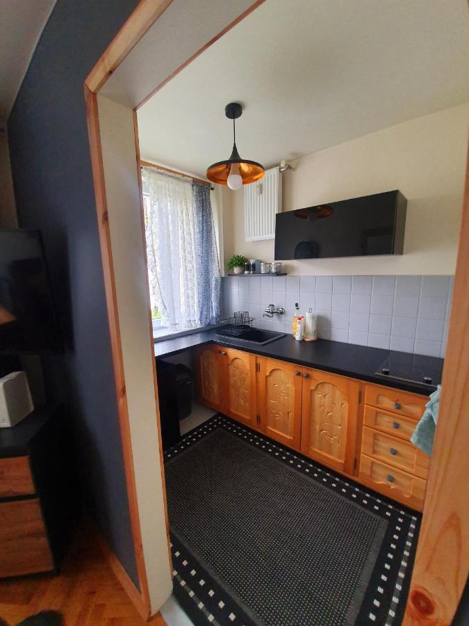 Apartament Izba W Centrum Zakopane Extérieur photo