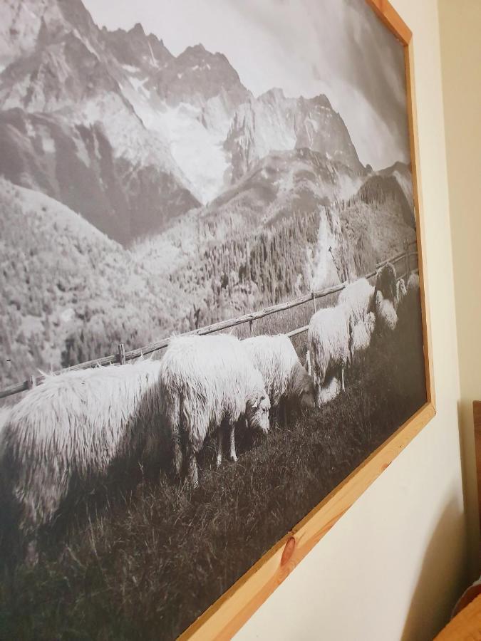 Apartament Izba W Centrum Zakopane Extérieur photo