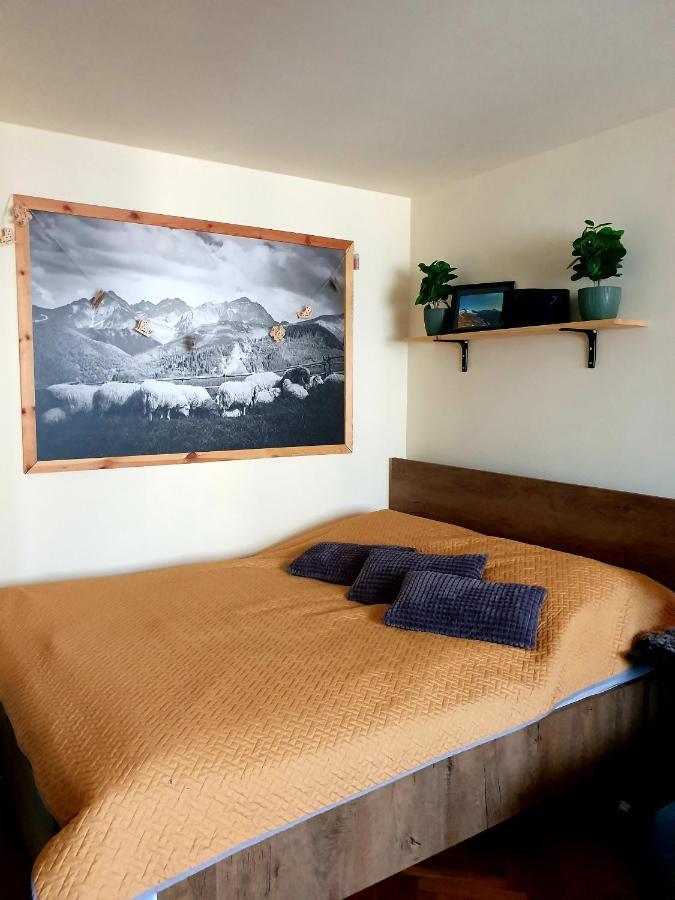 Apartament Izba W Centrum Zakopane Extérieur photo